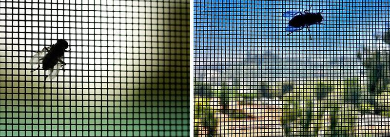 Flyscreen Door